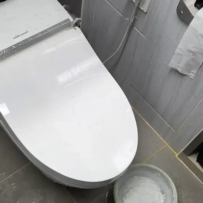 진산면 하수구막힘 변기 막힘 원인